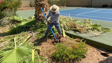 Best Shovels for Digging Up Roots (What Professionals Use)